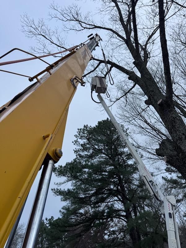 All Photos for Lamb Brothers Clearing in Murray, KY