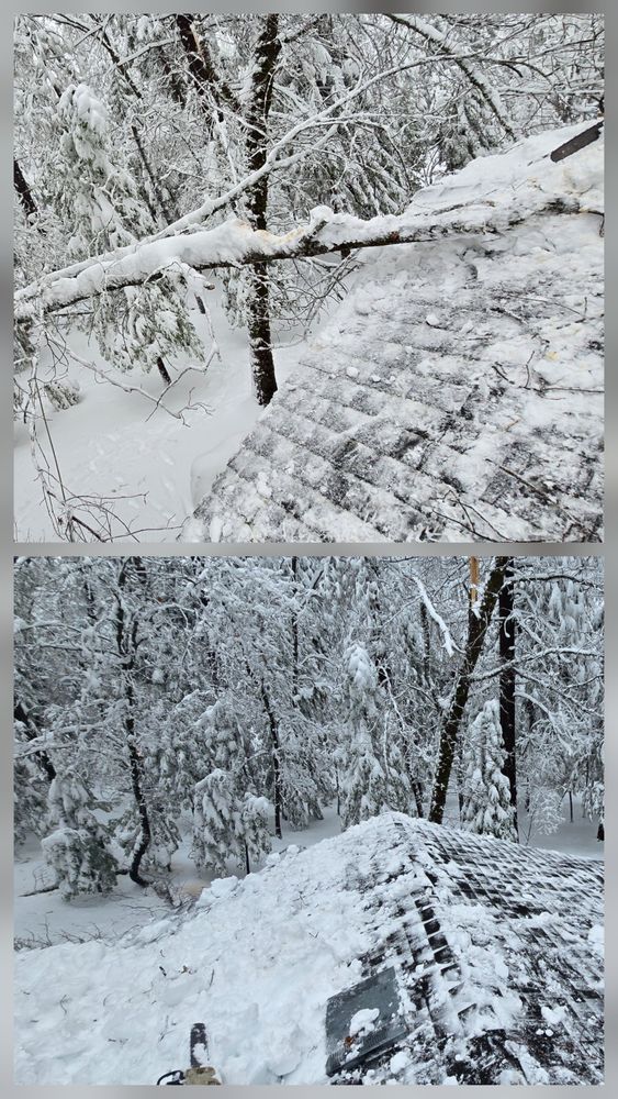 All Photos for George Staddan's Professional Tree Care in Placerville, CA