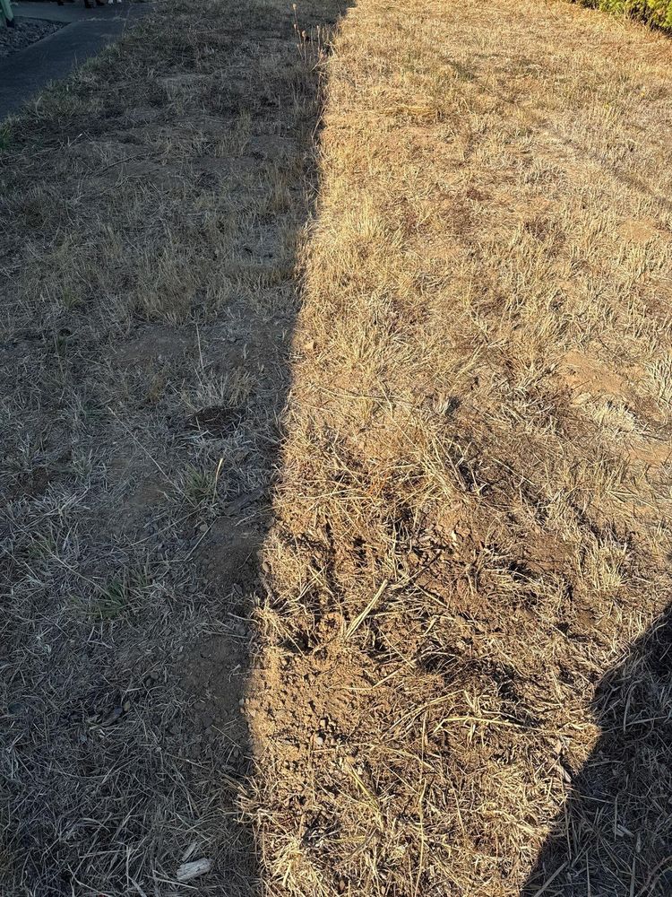 All Photos for Willamette Landscaping and Tree Services in Albany, OR