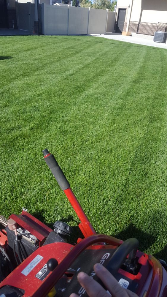 All Photos for Platinum Lawn Service in Santaquin, UT