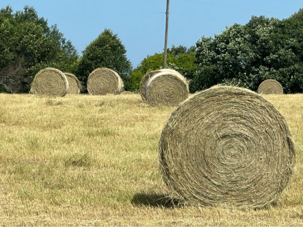 All Photos for Circle W Services in Canton, TX