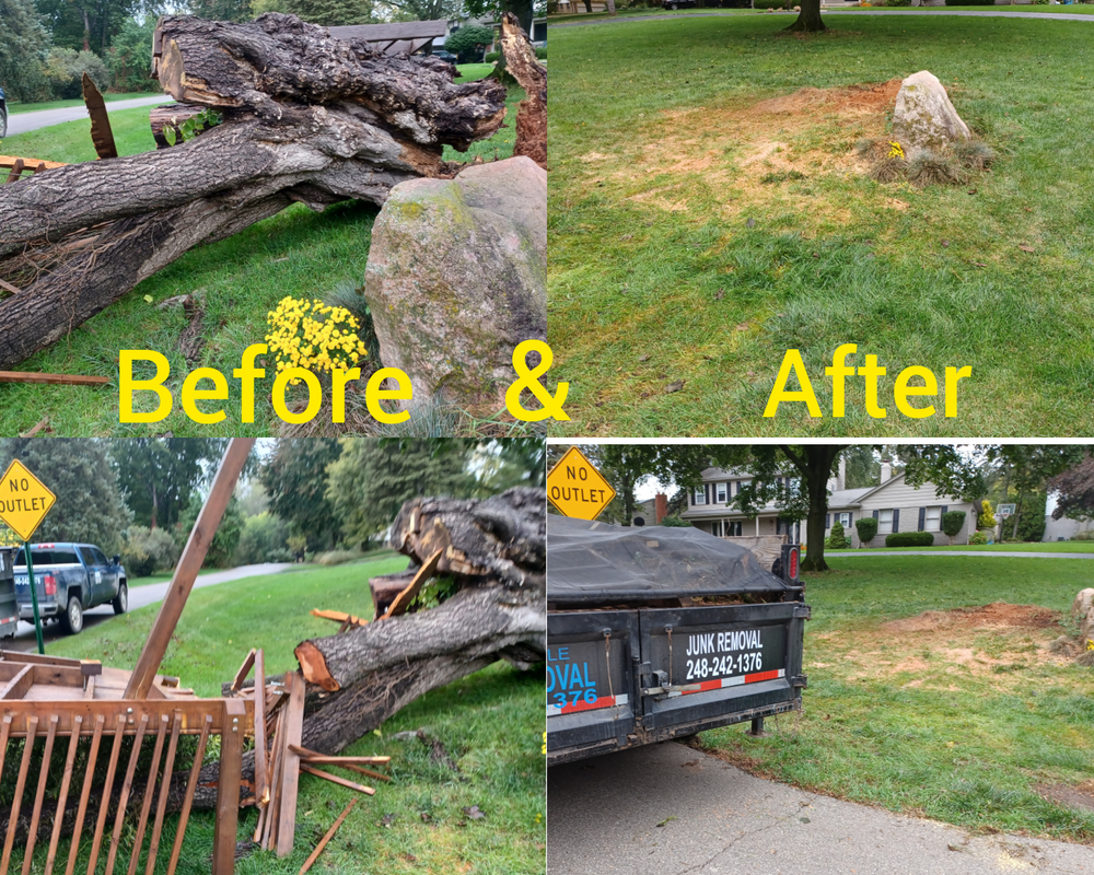 Haul Away for Blue Eagle Junk Removal in Oakland County, MI