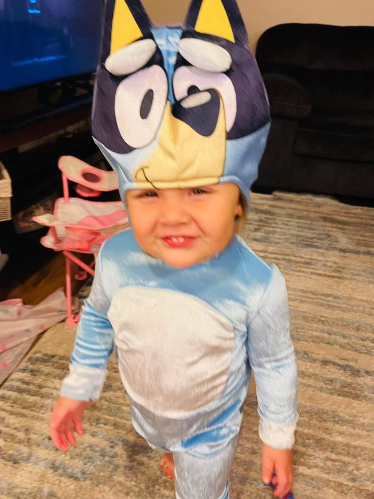 All Photos for A+ Cleaning and Services LLC in Deep Creek Lake, MD 