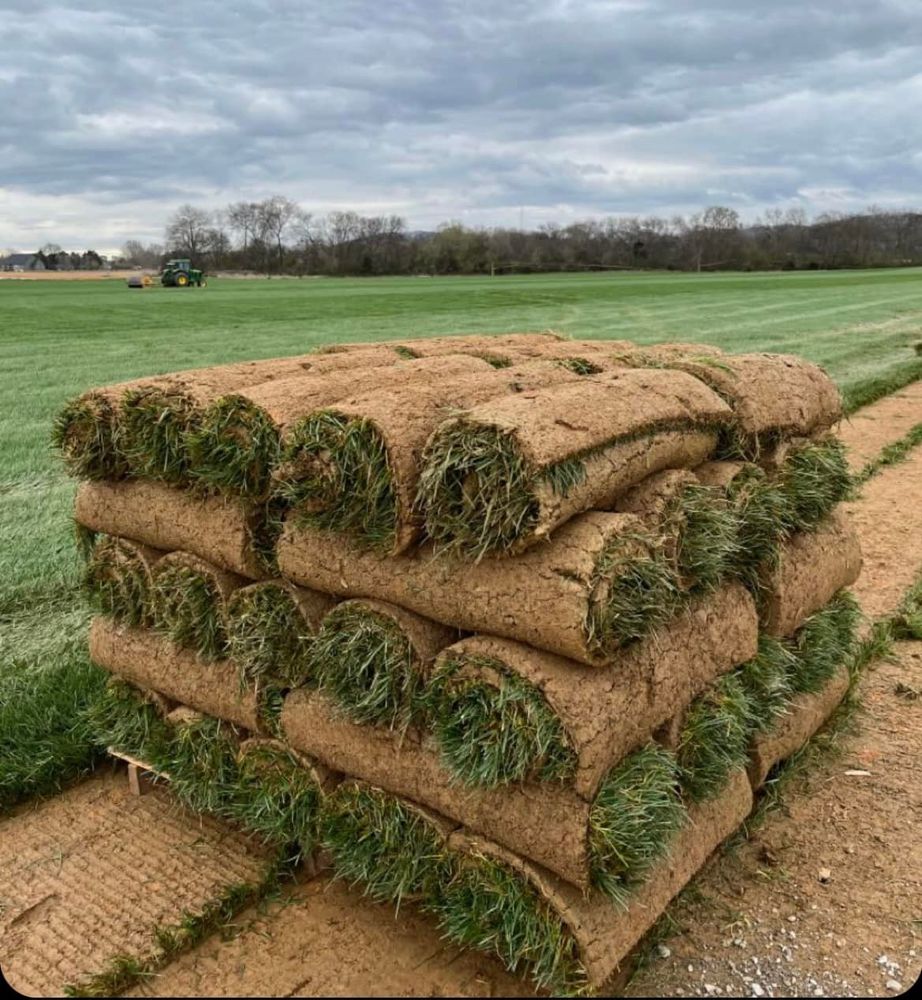 All Photos for C4 Ground Control in Oviedo, FL