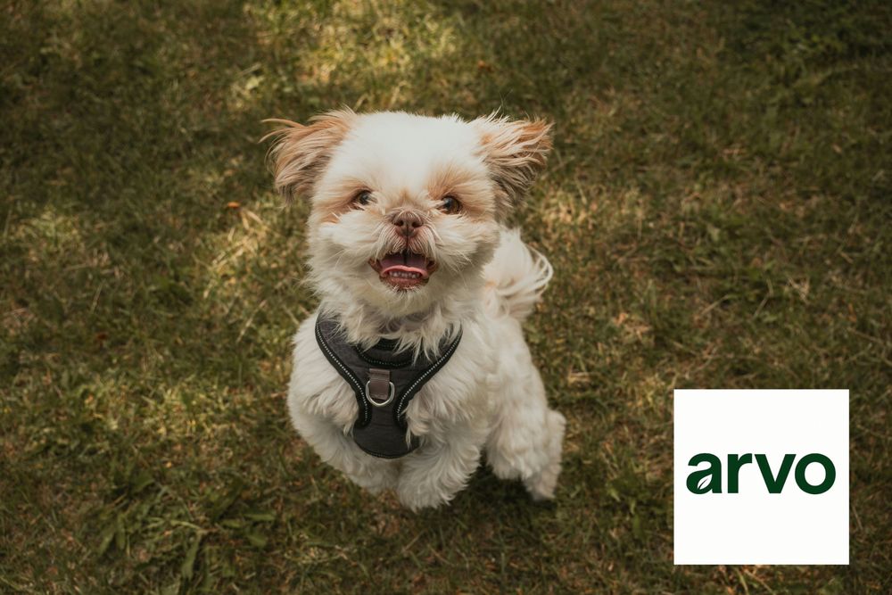 All Photos for Arvo Pest Control in Sandy, UT