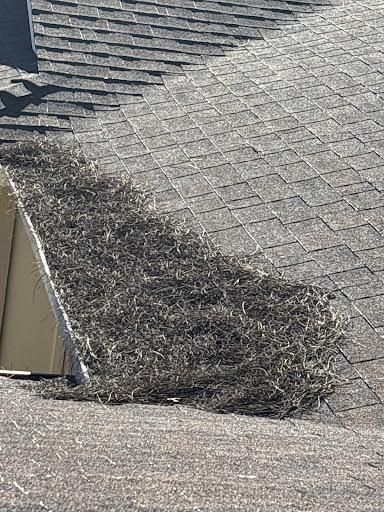 All Photos for Lira Home Inspections in Concord, CA