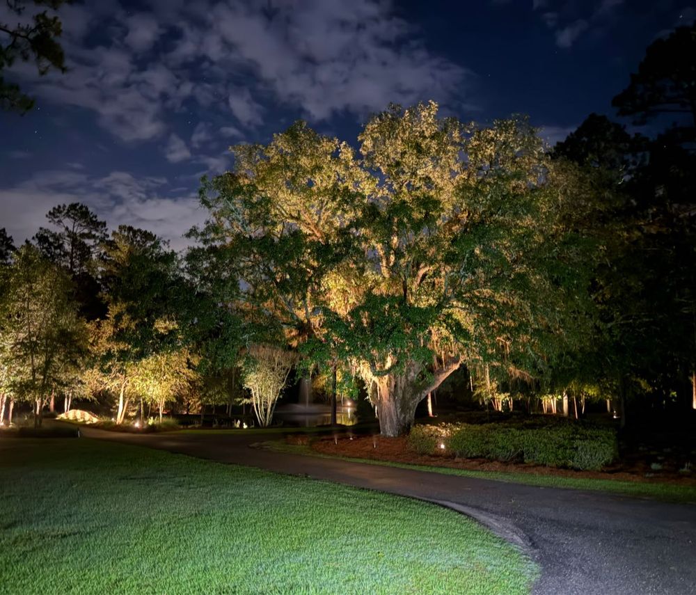 Transform your outdoor space with our expert Landscape Design service, where we combine creativity and functionality to craft personalized, sustainable landscapes that enhance beauty and value for your home. for Thomasville Lawn Care in Thomasville, GA