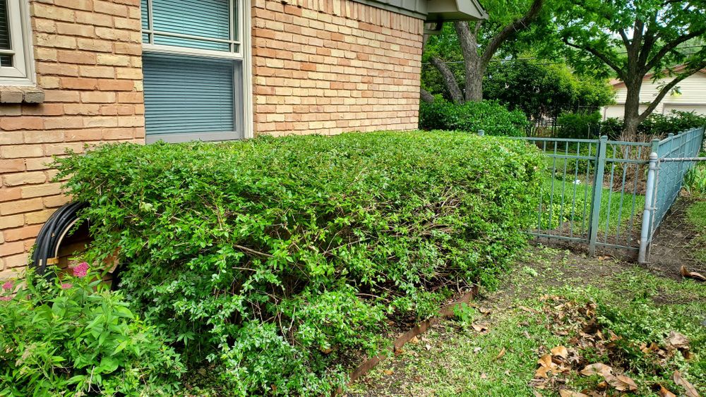 All Photos for Cortez Landscaping Services in Mesquite, TX