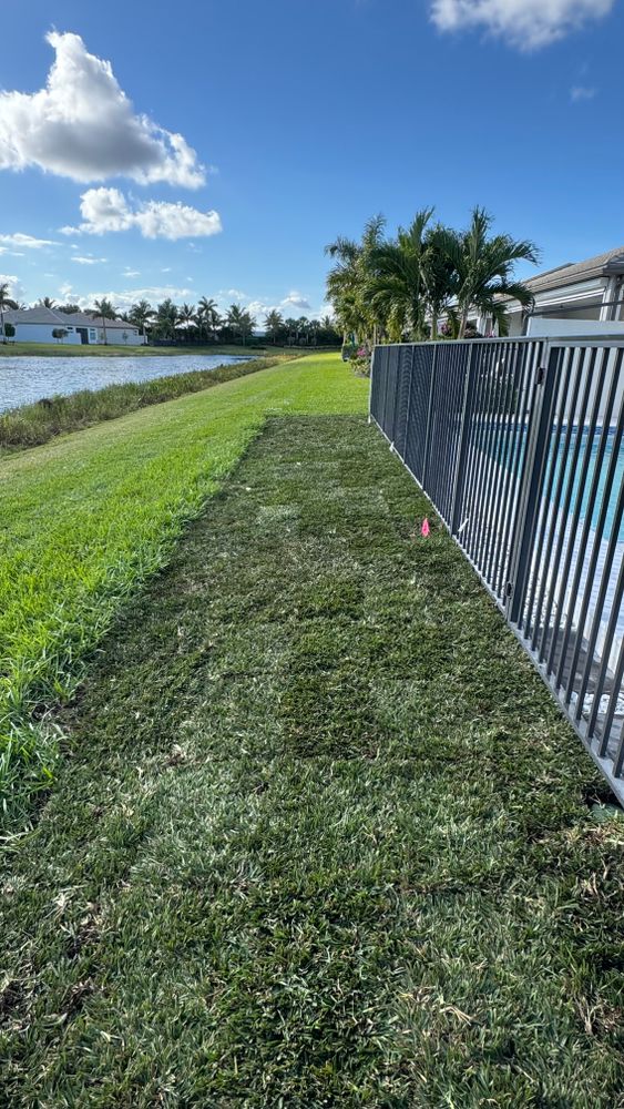 All Photos for South Florida Terra Systems in Boca Raton, FL