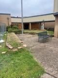 All Photos for Oviedo Land & Garden in Bastrop, TX
