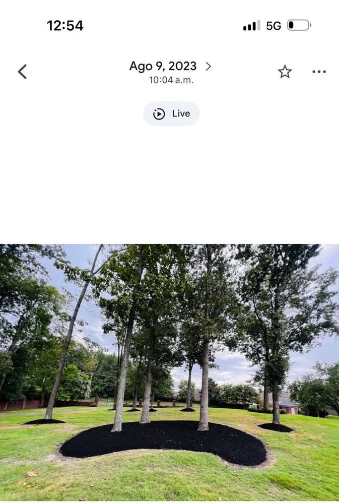 All Photos for Sanchez Z. Landscaping in Memphis, TN