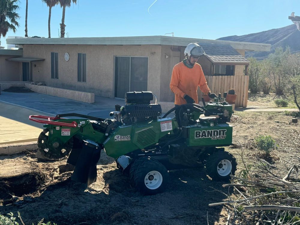 Property Clean Up for The Tree Fairy in Temecula, CA