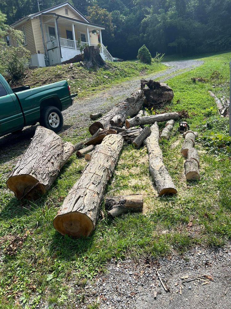 All Photos for NRV Tree Pro, LLC in Narrows, VA