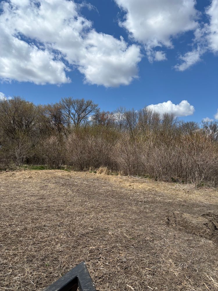 All Photos for Root Land Management in Watkins, MN