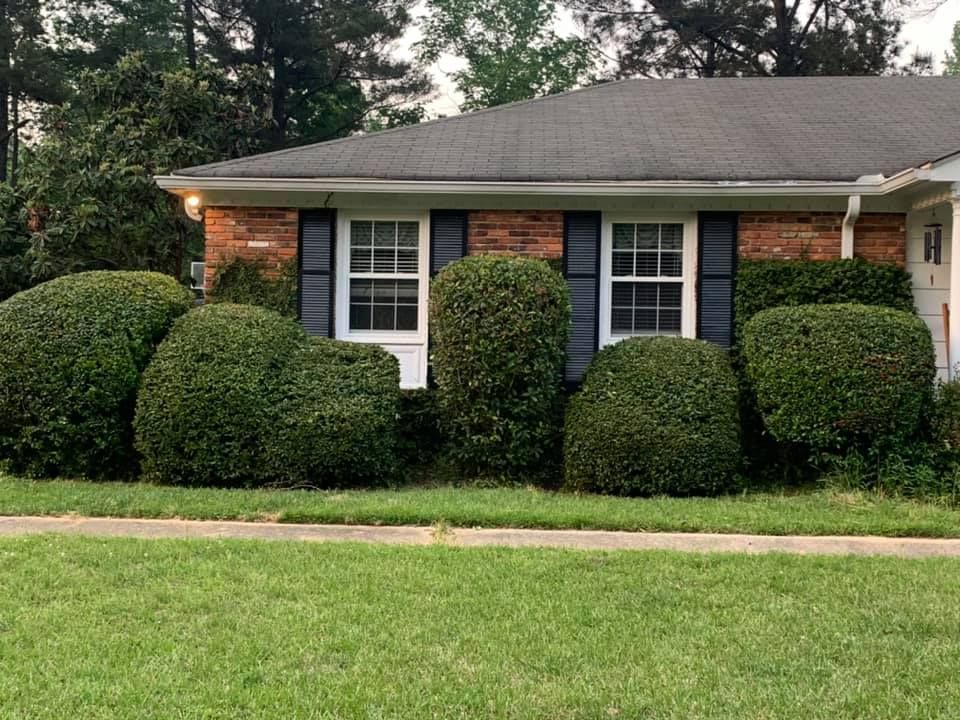 Enhance your home's curb appeal with our professional shrub trimming service. We expertly shape and maintain shrubs to ensure a neat, healthy appearance, tailored to complement your landscaping design. for Sparks Landscaping in Augusta, GA