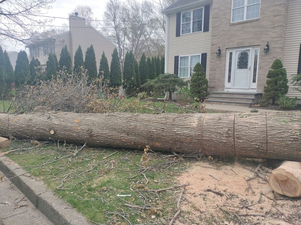 All Photos for CHACH Landscaping & Construction in Providence, RI