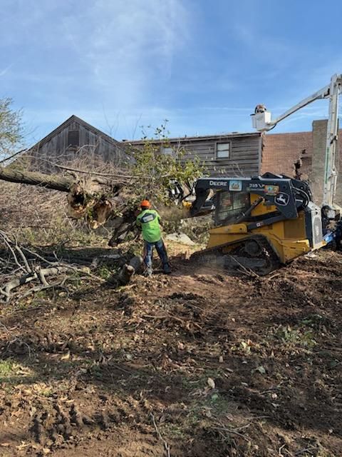 All Photos for Lamb Brothers Clearing in Murray, KY