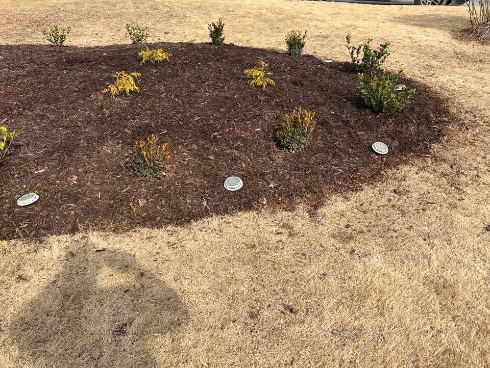 Landscaping for GA Supreme Landscaping in Smyrna, GA