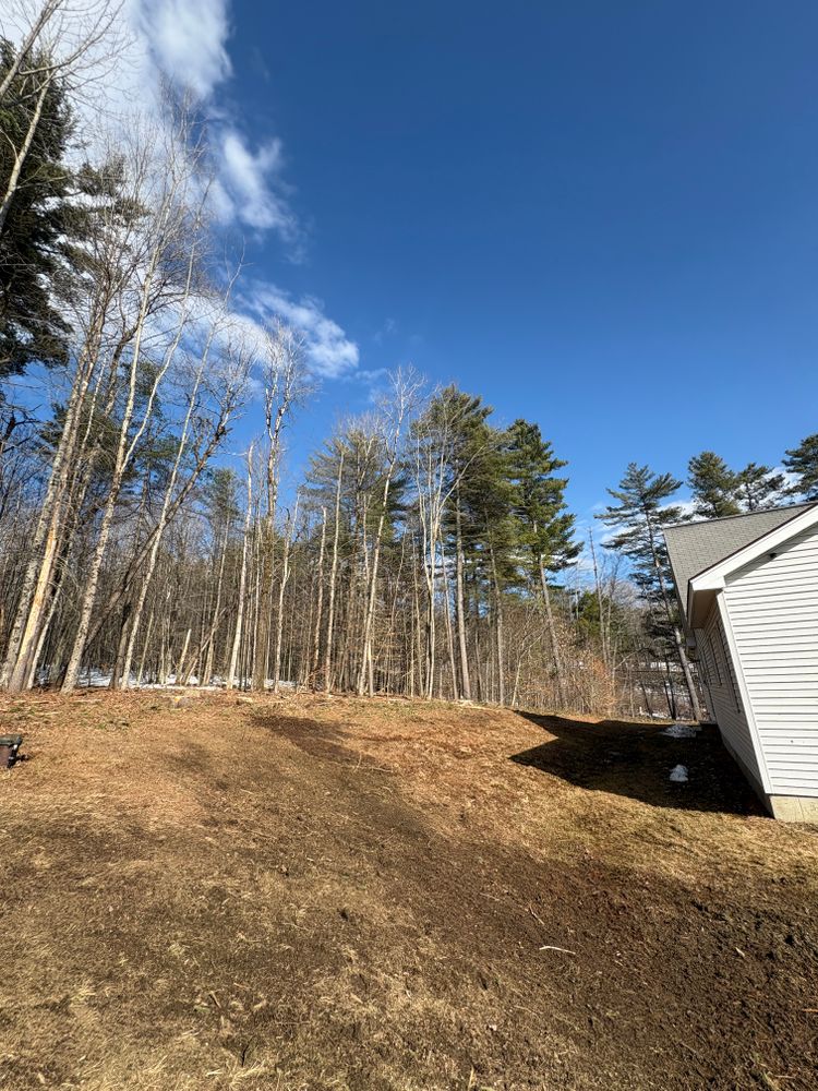 All Photos for Clifford’s Quality Tree Care & Landscaping in Enfield, NH