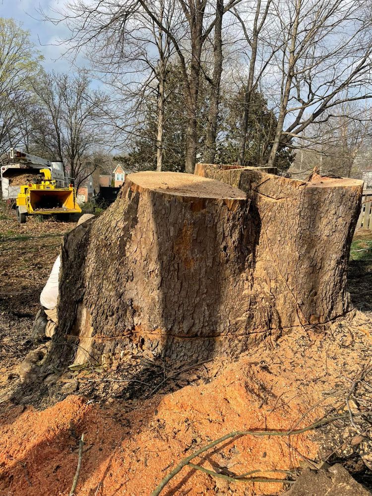 Our Stump Removal service efficiently eliminates tree stumps left behind after our tree removal service, leaving your property clear and ready for landscaping or construction projects. for T&T Lot Works in Kingston Springs, TN