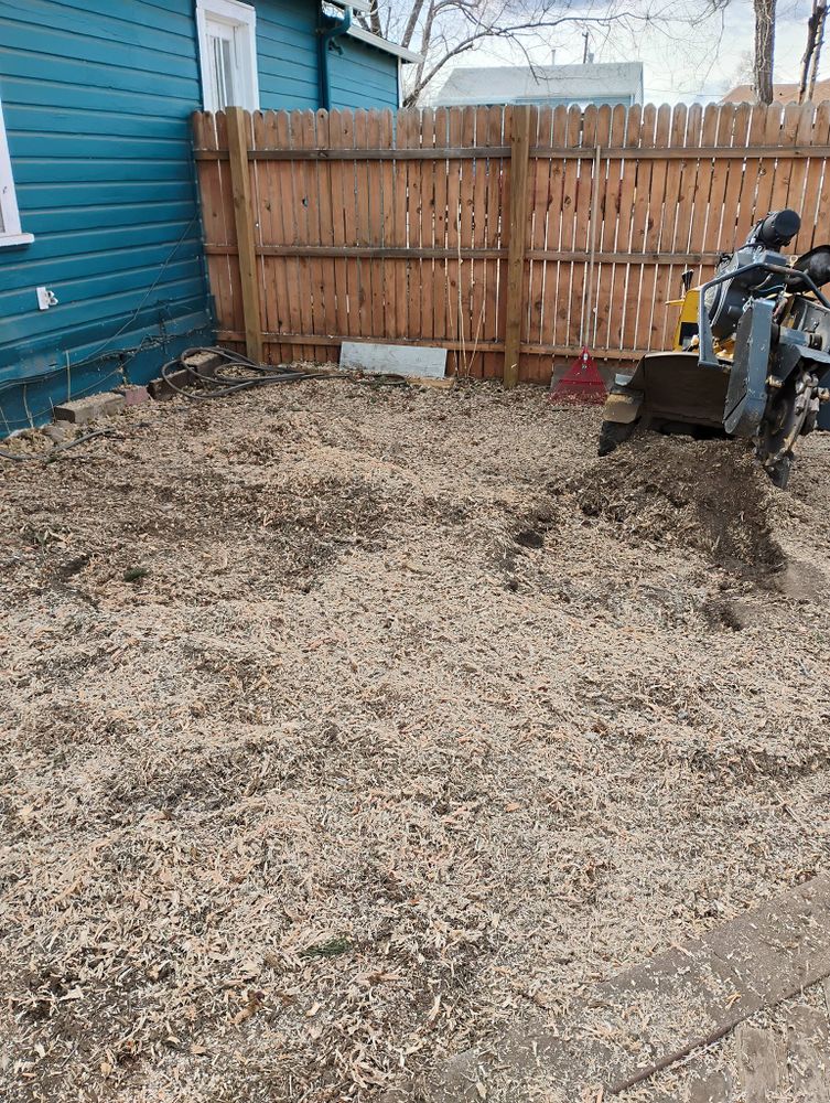 All Photos for Sloan Tree Service in Aurora, CO