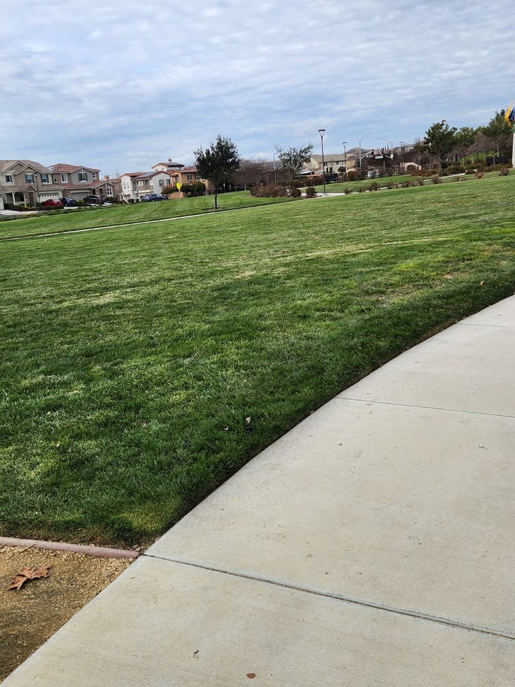 All Photos for Vargas LANSCAPE LLC in Stockton, CA