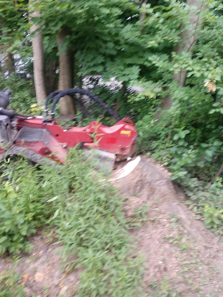 Stump Removal for TH Property Service, LLC in Manlius, NY