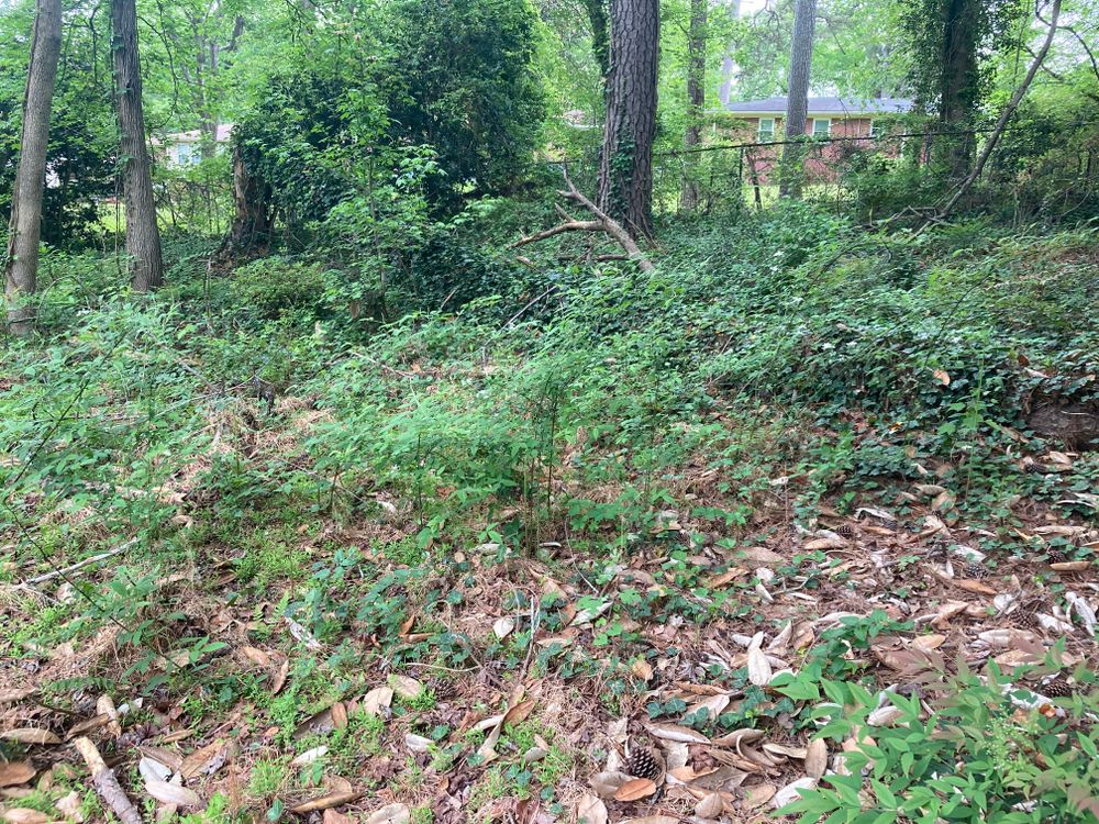 All Photos for Aries Lawnscapes in Atlanta, GA