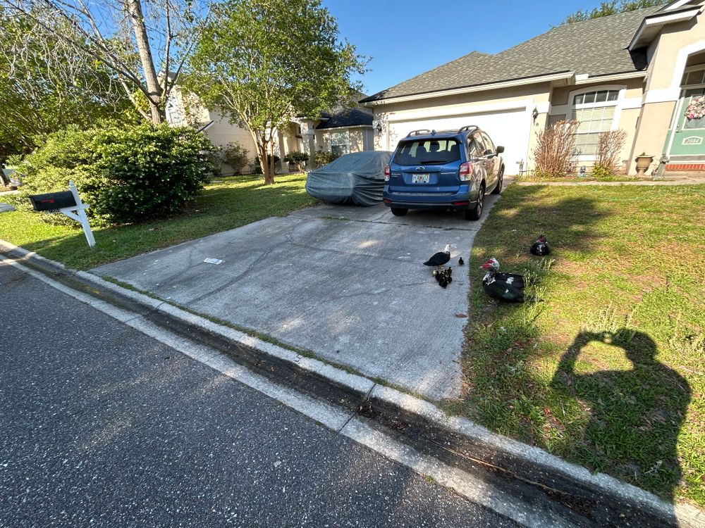 All Photos for Project Masters Group in Tampa, FL