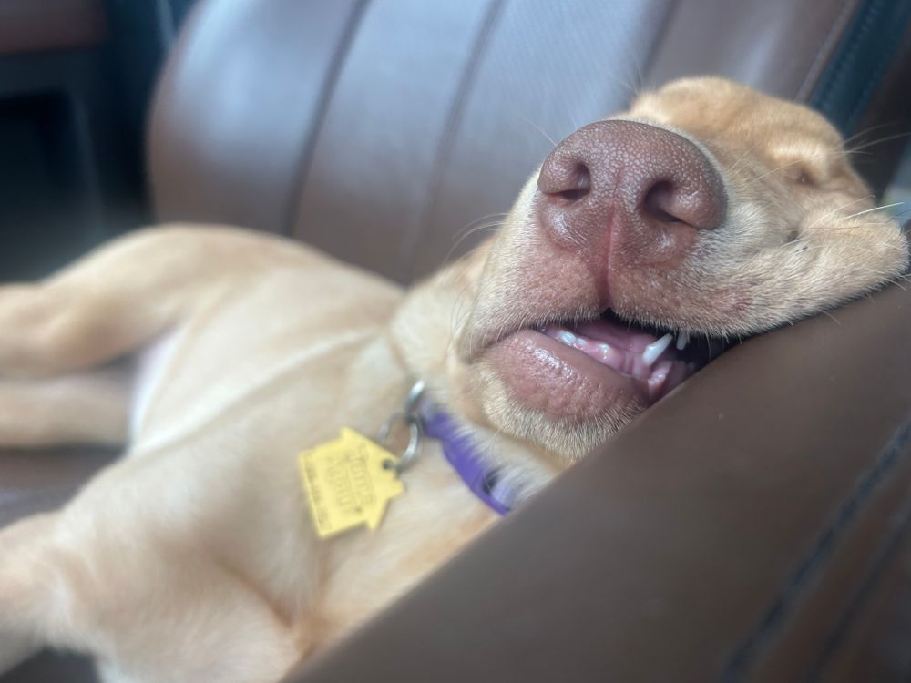 All Photos for The Gravel Guy in Blairsville, GA