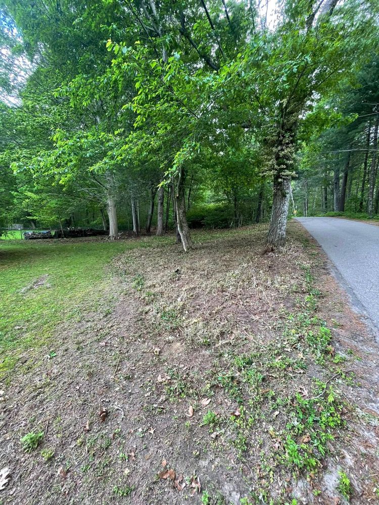 Our Land Clearing service efficiently removes unwanted vegetation and debris, preparing your property for new projects or beautification while ensuring a clean, safe, and transformed outdoor space tailored to your needs. for Lucas Property Maintenance LLC in New Bedford, MA