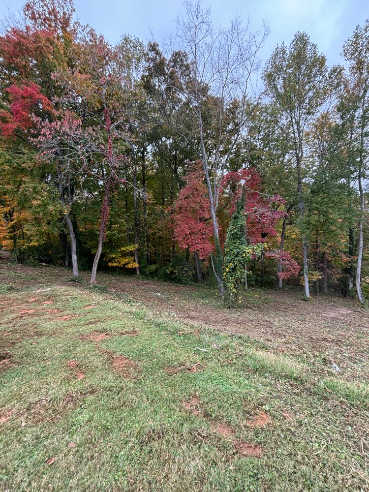 Brush Clearing  for Three Rivers Dirt Works LLC in Knoxville, TN