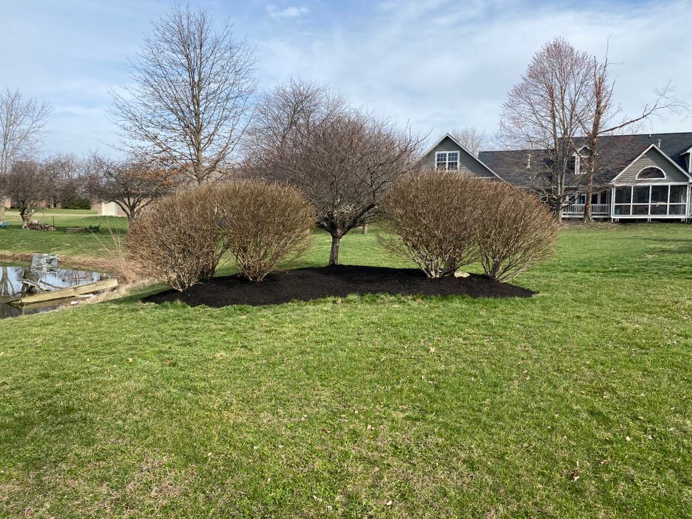 All Photos for Bearforce Lawn Care LLC in Greenfield, IN