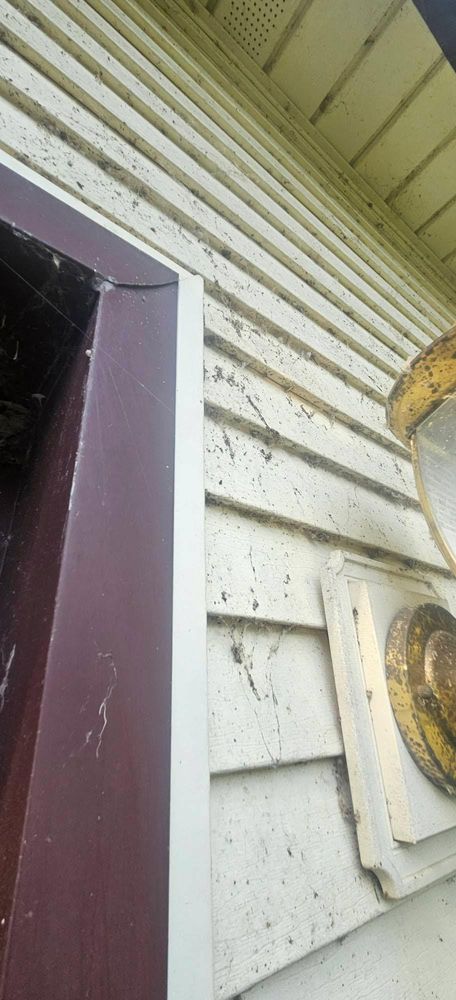 All Photos for Reliance Pressure Washing in Westland, MI