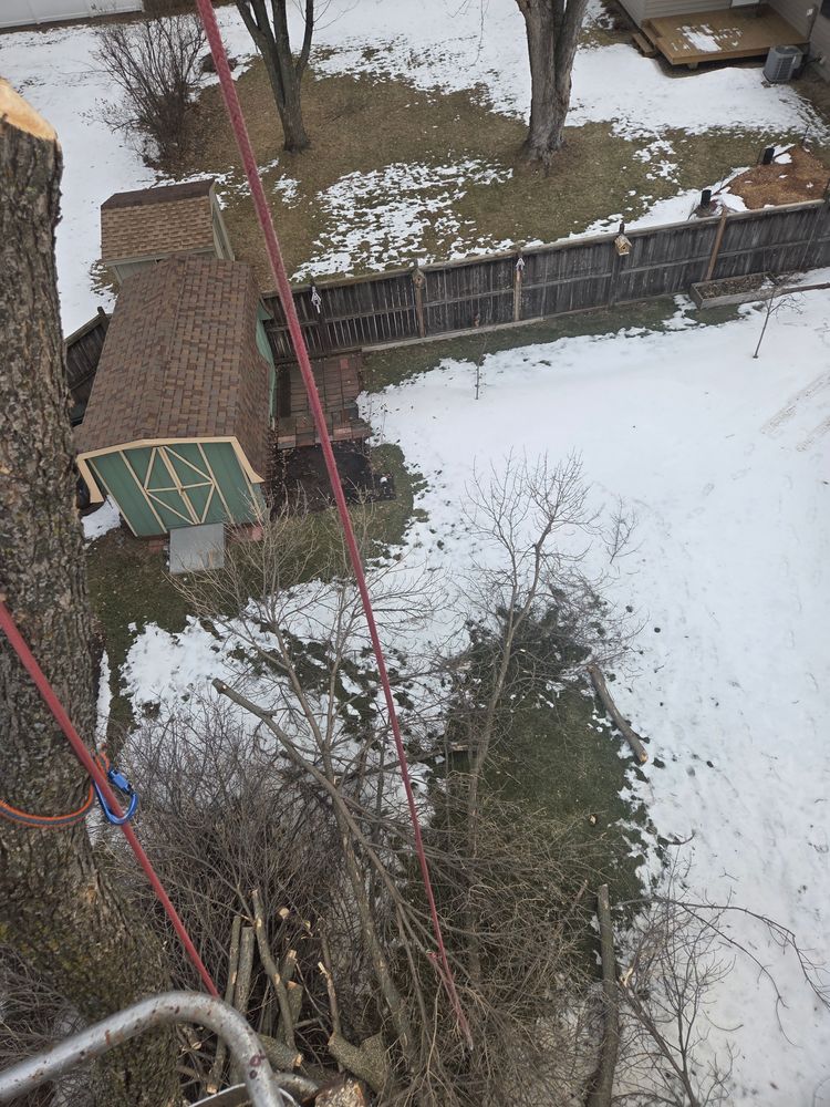 All Photos for K and Z Tree Care in Isanti County, MN