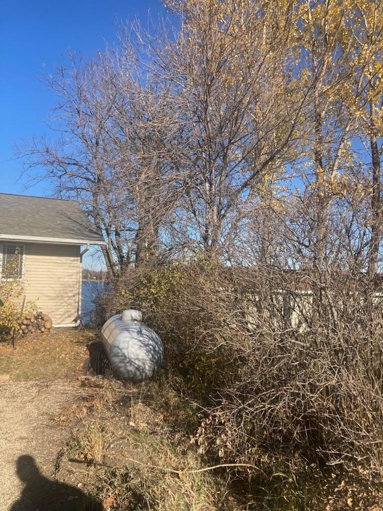 All Photos for Dan's Tree Service LLC in Bemidji, MN