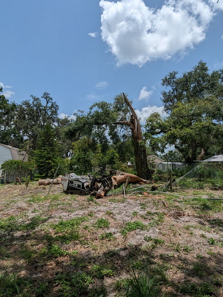 All Photos for Regal Tree Service and Stump Grinding in Wauchula, FL