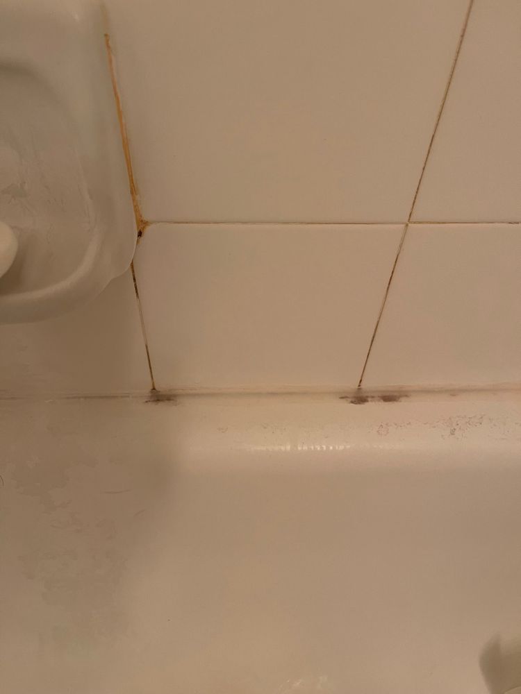 All Photos for Tony's Remodeling & Painting in Renton, WA