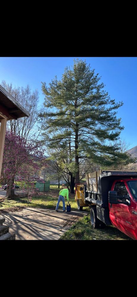 All Photos for NRV Tree Pro, LLC in Narrows, VA