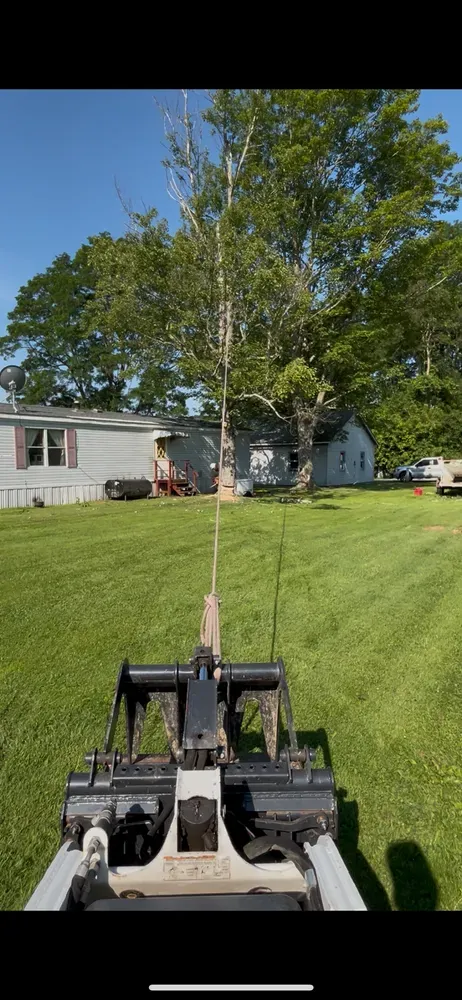 All Photos for Licensed to Cut Tree Service in Athens, PA