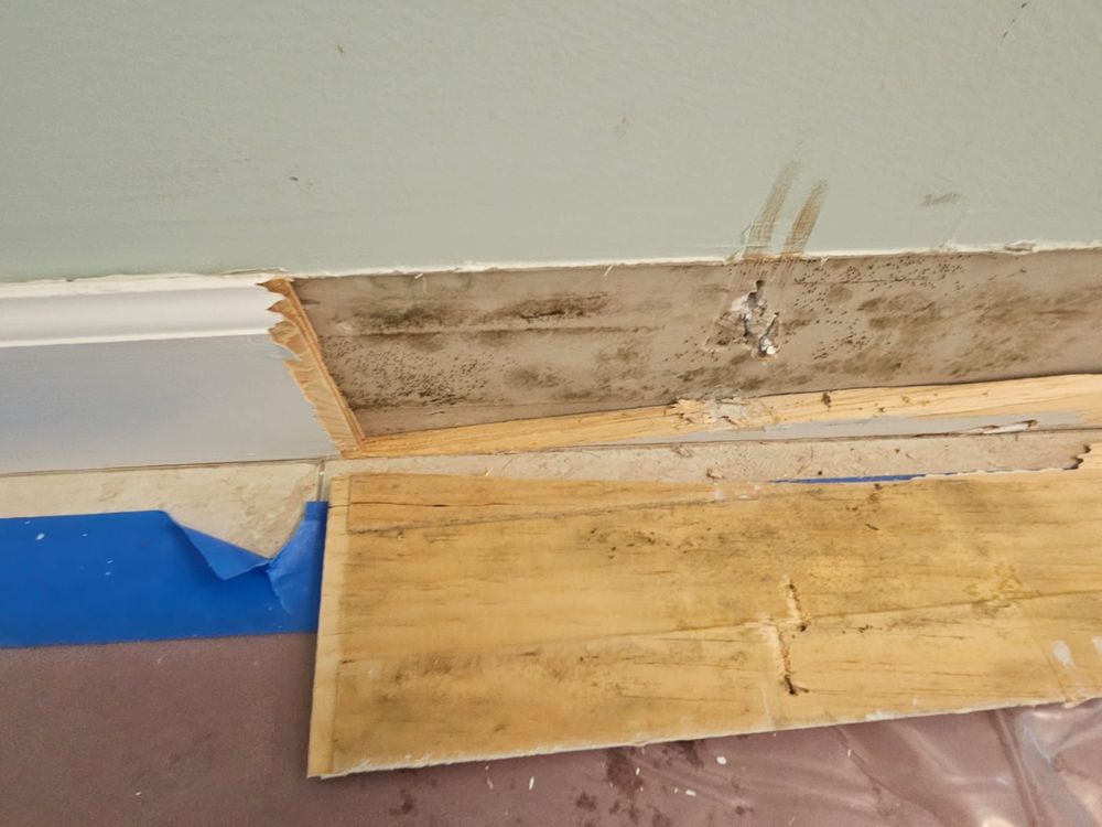 Mold Remediation for N&D Restoration Services When Disaster Attacks, We Come In in Cape Coral,  FL