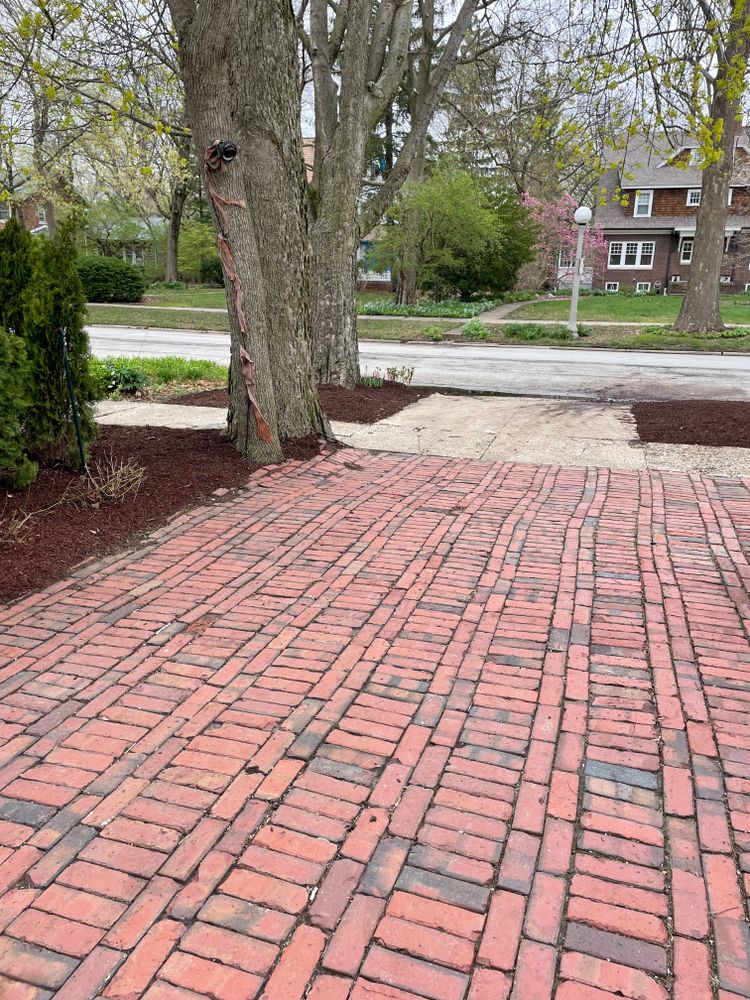 All Photos for MDR Landscaping in Urbana, IL