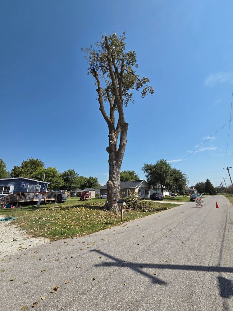 All Photos for Lawn Ranger Yard And Tree Service LLC in Ottumwa, IA