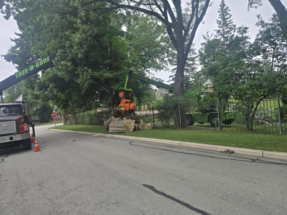All Photos for Tree-B-Gone in Shawano, WI