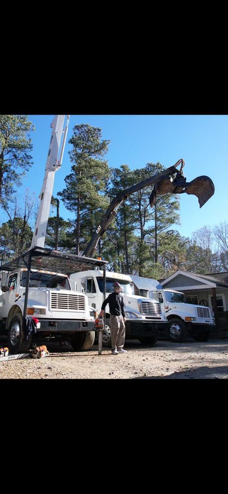 All Photos for AB Tree Service in Raleigh, NC