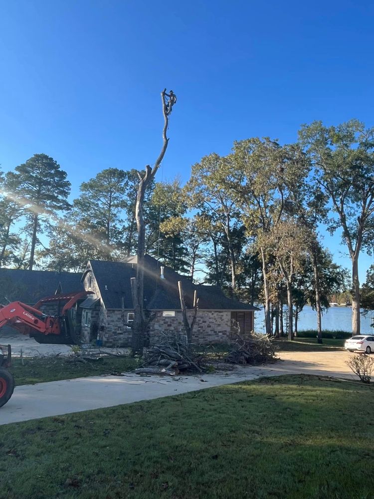All Photos for JC Land and Tree Service in Kilgore, TX