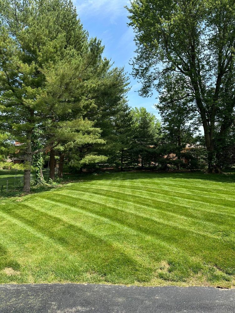 All Photos for JKL Lawn Service in Frankfort, KY
