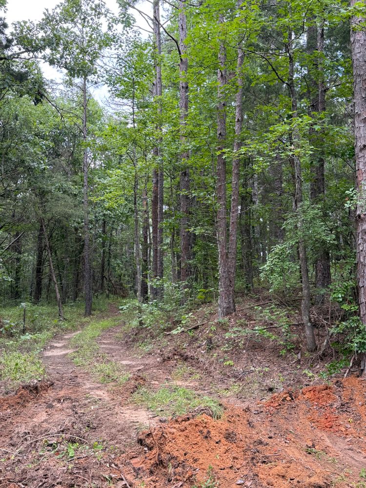 All Photos for Ross Excavation & Land Development in Middleton, TN