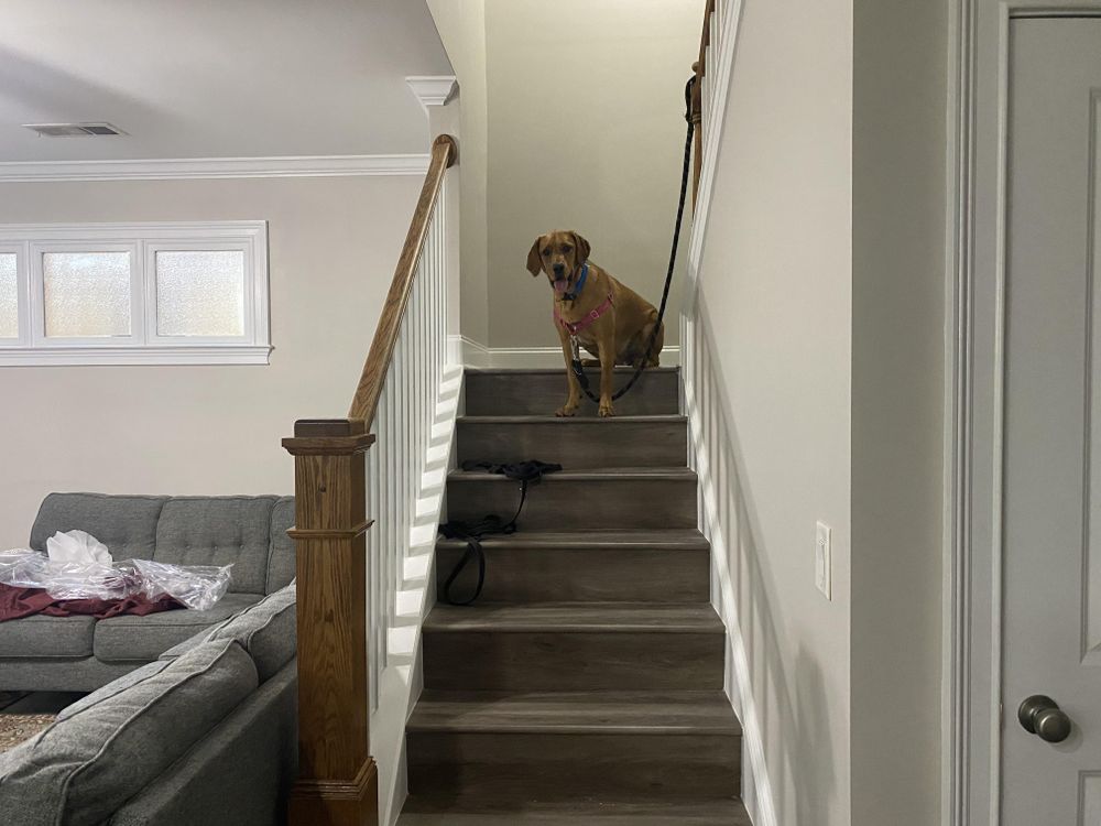 All Photos for Engstrom Home Renovations in Good Hope, Georgia