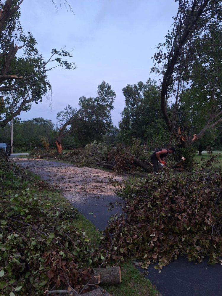 Emergency Storm Work for Highborn Tree Service in Wheatfield, IN